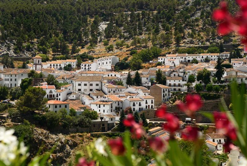La Casa De La Abuela Regina Daire Grazalema Dış mekan fotoğraf